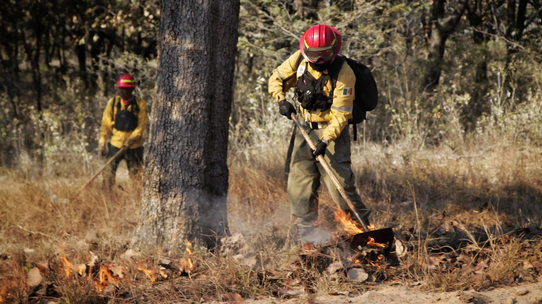 Incendios Semadet